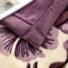 Thickened Raschel Blanket Double Thickened Soft Plush Comforter, Double Sided Velvet, Suitable For Winter Dormitory Office Sofa Warm With Velvet Comforter