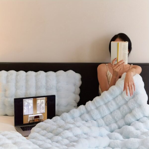 Traditional Style Plush Double Layer All Season Comforter Cozy Fleece Bedspread, Machine Washable Suitable For Ac Use, Travel, Naps & Christmas Gifts % Polyester Bed Cover