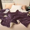 Dark Purple Double Layer Milk Velvet Lamb Velvet Blanket | Machine Washable, All Season Comfort, Polyester