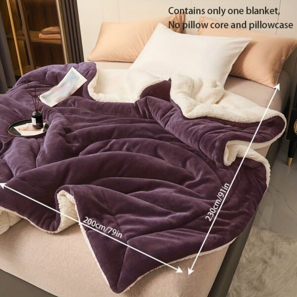 Dark Purple Double Layer Milk Velvet Lamb Velvet Blanket | Machine Washable, All Season Comfort, Polyester